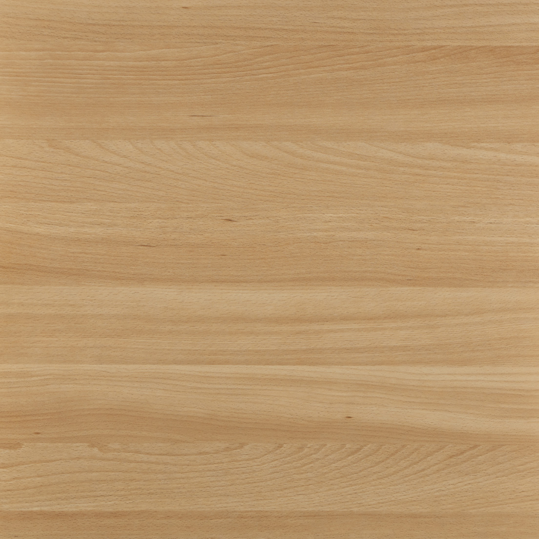 main image of Provence beech